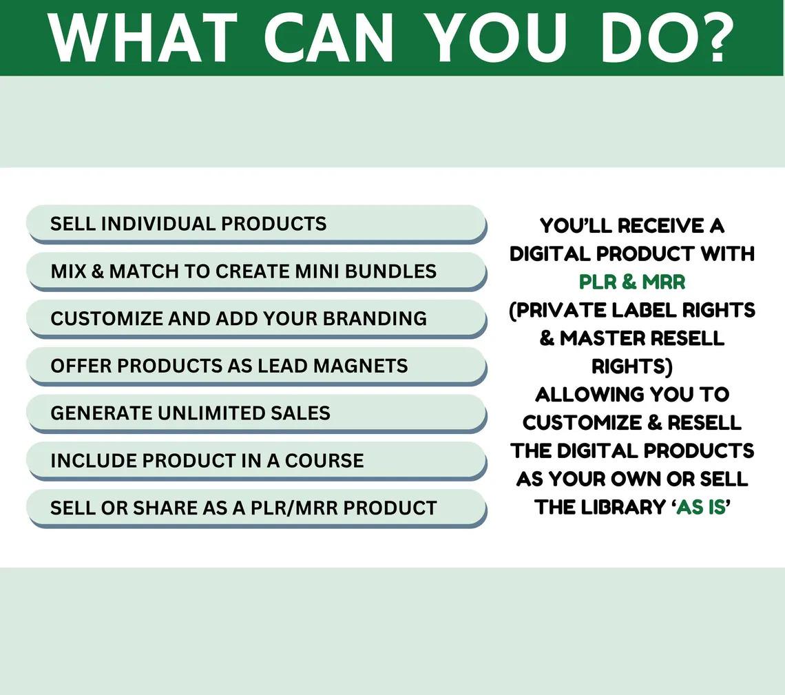 PLR Spreadsheet PLR Google Sheets Digital Product Digital Download Excel MRR Budget Reseller Spreadsheet Plr Budget Template Resell