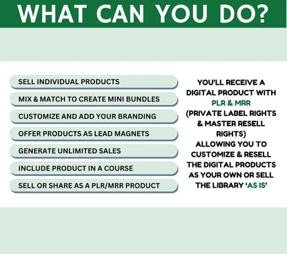 PLR Spreadsheet PLR Google Sheets Digital Product Digital Download Excel MRR Budget Reseller Spreadsheet Plr Budget Template Resell